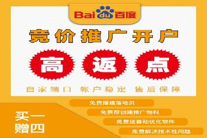 SEM推广竞价托管成功案例解析